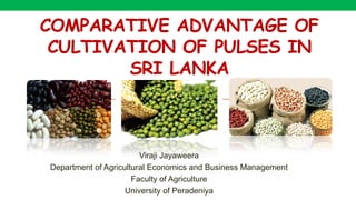 COMPARATIVE ADVANTAGE OF
CULTIVATION OF PULSES IN
SRI LANKA
Viraji Jayaweera
Department of Agricultural Economics and Business Management
Faculty of Agriculture
University of Peradeniya
 