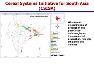 IFPRI -CSISA - Innovations in Production and Production Technology- R K ...