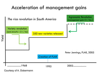 IFPRI -CSISA - Innovations in Production and Production Technology- R K ...
