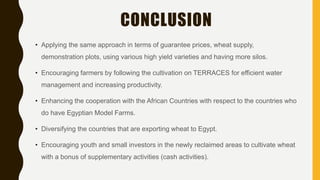 CONCLUSION
• Applying the same approach in terms of guarantee prices, wheat supply,
demonstration plots, using various high yield varieties and having more silos.
• Encouraging farmers by following the cultivation on TERRACES for efficient water
management and increasing productivity.
• Enhancing the cooperation with the African Countries with respect to the countries who
do have Egyptian Model Farms.
• Diversifying the countries that are exporting wheat to Egypt.
• Encouraging youth and small investors in the newly reclaimed areas to cultivate wheat
with a bonus of supplementary activities (cash activities).
 