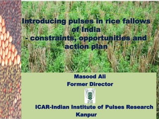 Introducing pulses in rice fallows
of India
- constraints, opportunities and
action plan
Masood Ali
Former Director
ICAR-Indian Institute of Pulses Research
Kanpur
 