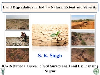 Land Degradation in India - Nature, Extent and Severity
ICAR- National Bureau of Soil Survey and Land Use Planning
Nagpur
S. K. Singh
 