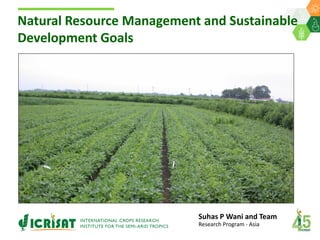 Natural Resource Management and Sustainable
Development Goals
Suhas P Wani and Team
Research Program - Asia
 