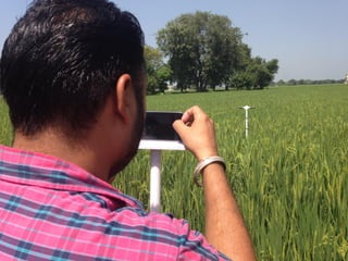 IFPRI-New technologies for better Insurance: Picture Based Crop Insurance-Berber Kramer