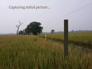 IFPRI-New technologies for better Insurance: Picture Based Crop Insurance-Berber Kramer