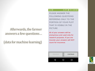 IFPRI-New technologies for better Insurance: Picture Based Crop Insurance-Berber Kramer