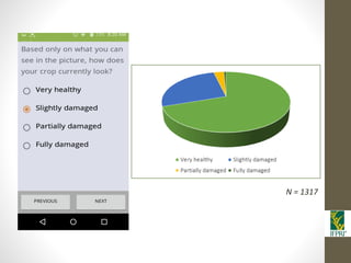 IFPRI-New technologies for better Insurance: Picture Based Crop Insurance-Berber Kramer