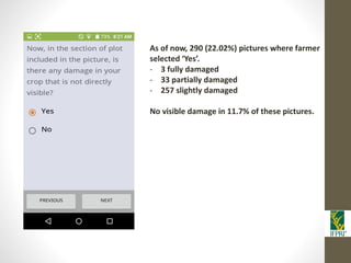 IFPRI-New technologies for better Insurance: Picture Based Crop Insurance-Berber Kramer