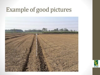 IFPRI-New technologies for better Insurance: Picture Based Crop Insurance-Berber Kramer