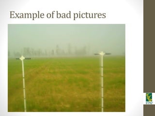 IFPRI-New technologies for better Insurance: Picture Based Crop Insurance-Berber Kramer