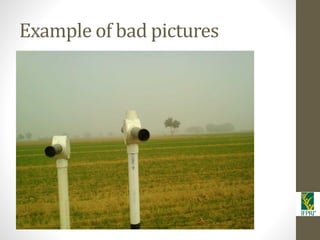 IFPRI-New technologies for better Insurance: Picture Based Crop Insurance-Berber Kramer