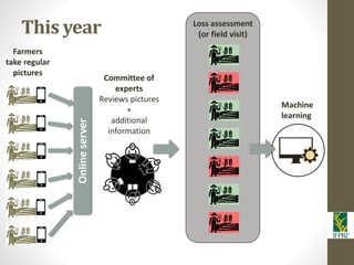 IFPRI-New technologies for better Insurance: Picture Based Crop Insurance-Berber Kramer