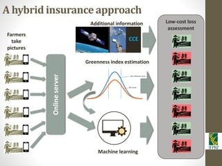 IFPRI-New technologies for better Insurance: Picture Based Crop Insurance-Berber Kramer