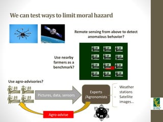 IFPRI-New technologies for better Insurance: Picture Based Crop Insurance-Berber Kramer