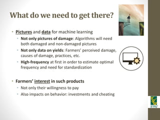IFPRI-New technologies for better Insurance: Picture Based Crop Insurance-Berber Kramer