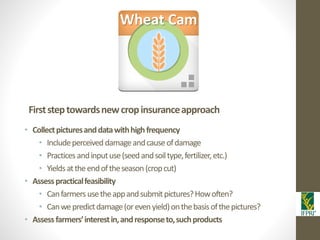 IFPRI-New technologies for better Insurance: Picture Based Crop Insurance-Berber Kramer