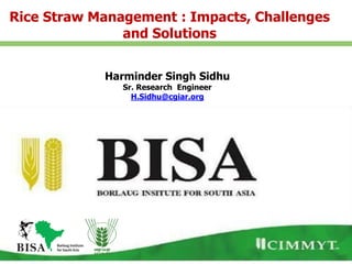 Harminder Singh Sidhu
Sr. Research Engineer
H.Sidhu@cgiar.org
Rice Straw Management : Impacts, Challenges
and Solutions
 