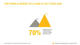 70%
Required increase
in food calories
to feed 9.7 billion
people by 2050
THE WORLD NEEDS TO CLOSE A 70% FOOD GAP
Source: Ranganathan et al. (forthcoming), updated from Searchinger et al. (2013).
 
