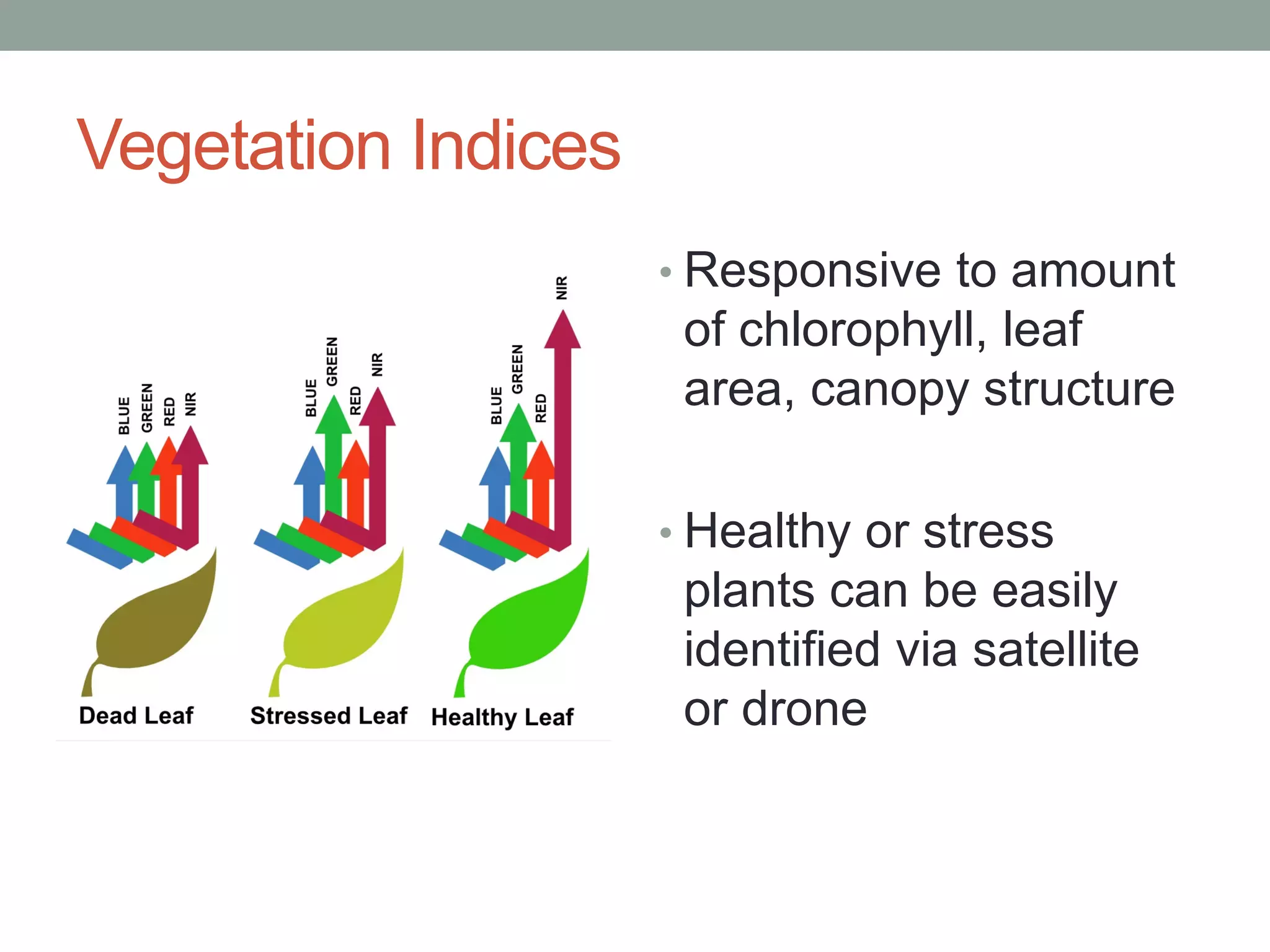 Vegetation Indices
• Responsive to amount
of chlorophyll, leaf
area, canopy structure
• Healthy or stress
plants can be easily
identified via satellite
or drone
 