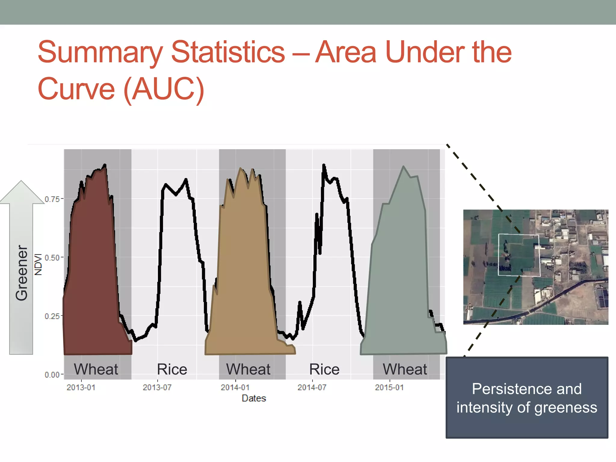 Greener
Summary Statistics – Area Under the
Curve (AUC)
Persistence and
intensity of greeness
Wheat Rice Wheat Rice Wheat
 