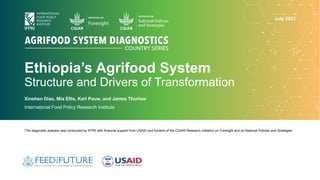 Ethiopia’s Agrifood System
Structure and Drivers of Transformation
Xinshen Diao, Mia Ellis, Karl Pauw, and James Thurlow
International Food Policy Research Institute
This diagnostic analysis was conducted by IFPRI with financial support from USAID and funders of the CGIAR Research Initiative on Foresight and on National Policies and Strategies.
July 2023
 