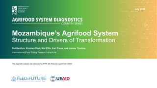 Mozambique’s Agrifood System
Structure and Drivers of Transformation
Rui Benfica, Xinshen Diao, Mia Ellis, Karl Pauw, and James Thurlow
International Food Policy Research Institute
This diagnostic analysis was conducted by IFPRI with financial support from USAID.
July 2023
 