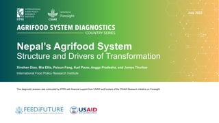 Nepal’s Agrifood System
Structure and Drivers of Transformation
Xinshen Diao, Mia Ellis, Peixun Fang, Karl Pauw, Angga Pradesha, and James Thurlow
International Food Policy Research Institute
This diagnostic analysis was conducted by IFPRI with financial support from USAID and funders of the CGIAR Research Initiative on Foresight.
July 2023
 