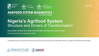 Nigeria’s Agrifood System
Structure and Drivers of Transformation
Kwaw Andam, Xinshen Diao, Olivier Ecker, Mia Ellis, Karl Pauw, and James Thurlow
International Food Policy Research Institute
This diagnostic analysis was conducted by IFPRI with financial support from USAID and funders of the CGIAR Research Initiative on Foresight and on National Policies and Strategies.
July 2023
 