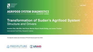 Transformation of Sudan’s Agrifood System
Structure and Drivers
Xinshen Diao, Mia Ellis, Karl Pauw, Mariam Raouf, Khalid Siddig, and James Thurlow
International Food Policy Research Institute
This diagnostic analysis was conducted by IFPRI with financial support from USAID.
July 2023
 