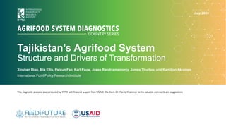 Tajikistan’s Agrifood System
Structure and Drivers of Transformation
Xinshen Diao, Mia Ellis, Peixun Fan, Karl Pauw, Josee Randriamamonjy, James Thurlow, and Kamiljon Akramov
International Food Policy Research Institute
This diagnostic analysis was conducted by IFPRI with financial support from USAID. We thank Mr. Parviz Khakimov for his valuable comments and suggestions.
July 2023
 