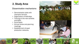 Dissemination mechanisms
2. Study Area
• Demonstration plots with
champion farmers
• Organization of field-days
• Training on the new varieties
and GAPs
• Rural Radio
• Annual review and planning
meetings
• Establishment of seed
production networks.
 
