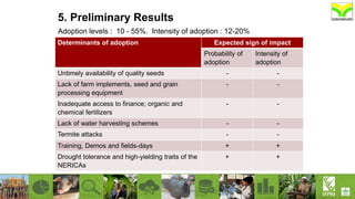 5. Preliminary Results
Adoption levels : 10 - 55%. Intensity of adoption : 12-20%
Determinants of adoption Expected sign of impact
Probability of
adoption
Intensity of
adoption
Untimely availability of quality seeds - -
Lack of farm implements, seed and grain
processing equipment
- -
Inadequate access to finance; organic and
chemical fertilizers
- -
Lack of water harvesting schemes - -
Termite attacks - -
Training, Demos and fields-days + +
Drought tolerance and high-yielding traits of the
NERICAs
+ +
 
