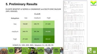 5. Preliminary Results
EX-ANTE BENEFICT of NERICA in CASAMANCE and SOUTH SINE SALOUM
(NPV; 000USD)
Adoption
K-shift
low medium high
low
medium
high 650,441
544,666
311,253
438,810
381,194
249,175
271,533
249,175
194,961
K-Shift (%): 100, 200, 300 / Adoption (%): 40, 80, 95
 