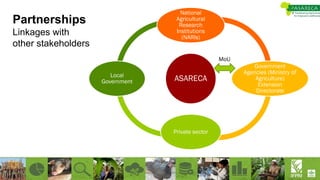 Partnerships
Linkages with
other stakeholders
ASARECA
National
Agricultural
Research
Institutions
(NARIs)
Government
Agencies (Ministry of
Agriculture)
Extension
Directorate
Private sector
Local
Government
MoU
 
