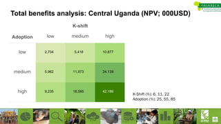 Total benefits analysis: Central Uganda (NPV; 000USD)
Adoption
K-shift
low medium high
low
medium
high 42,186
24,139
10,877
18,585
11,973
5,418
9,235
5,962
2,704
K-Shift (%): 6, 11, 22
Adoption (%): 25, 55, 85
 