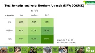 Total benefits analysis: Northern Uganda (NPV; 000USD)
Adoption
K-shift
low medium high
low
medium
high 39,376
24,396
9,618
19,498
12,118
4,797
9,697
6,039
2,395
K-Shift (%): 6, 11, 22
Adoption (%): 25, 55, 85
 