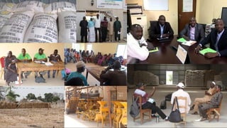 Workstream 1: Technology Platform: Case Studies