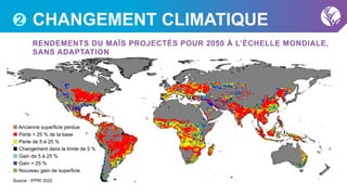 2 CHANGEMENT CLIMATIQUE
Source : IFPRI 2022
Ancienne superficie perdue
Perte > 25 % de la base
Perte de 5 à 25 %
Changemen...