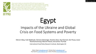 Version: 14 August 2022
Egypt
Impacts of the Ukraine and Global
Crisis on Food Systems and Poverty
Kibrom Abay, Fadi Abdelradi, Clemens Breisinger, Xinshen Diao, Paul Dorosh, Karl Pauw, Josee
Randriamamonjy, Mariam Raouf, and James Thurlow
International Food Policy Research Institute, Washington DC
These country studies are conducted by IFPRI with financial support from
BMGF, FCDO, and USAID. All studies use data and models developed with ongoing
support from BMGF, USAID and the CGIAR’s “Foresight and Metrics” initiative. The
Egypt case study benefits from working with CGIAR’s “National Policies and
Strategies” initiative, IFPRI’s Egypt country program, and researchers from the
Faculty of Agriculture, Cairo University, and the Institute of National Planning.
Kibrom Abay (k.abay@cgiar.org) | Xinshen Diao (x.diao@cgiar.org) |
Paul Dorosh (p.dorosh@cgiar.org) | James Thurlow (j.thurlow@cgiar.org)
 