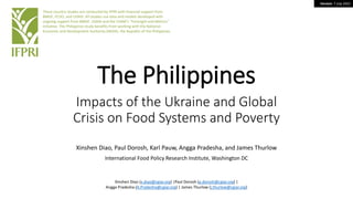 Version: 7 July 2022
The Philippines
Impacts of the Ukraine and Global
Crisis on Food Systems and Poverty
Xinshen Diao, Paul Dorosh, Karl Pauw, Angga Pradesha, and James Thurlow
International Food Policy Research Institute, Washington DC
These country studies are conducted by IFPRI with financial support from
BMGF, FCDO, and USAID. All studies use data and models developed with
ongoing support from BMGF, USAID and the CGIAR’s “Foresight and Metrics”
initiative. The Philippines study benefits from working with the National
Economic and Development Authority (NEDA), the Republic of the Philippines.
Xinshen Diao (x.diao@cgiar.org) |Paul Dorosh (p.dorosh@cgiar.org) |
Angga Pradesha (A.Pradesha@cgiar.org) | James Thurlow (j.thurlow@cgiar.org)
 
