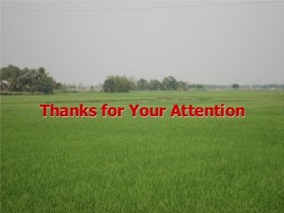 Design and implementation of food security strategies in Bangladesh