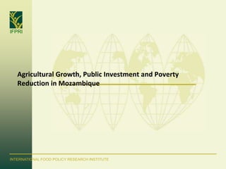 IFPRI
INTERNATIONAL FOOD POLICY RESEARCH INSTITUTE
Agricultural Growth, Public Investment and Poverty
Reduction in Mozambique
 