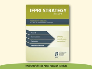 International Food Policy Research Institute
 