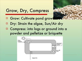 Grow, Dry, Compress Grow: Cultivate pond growth Dry: Strain the algae, Sun/Air dry Compress: into logs or ground into a powder and pelletize or briquette 