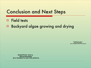 Conclusion and Next Steps Field tests  Backyard algae growing and drying 