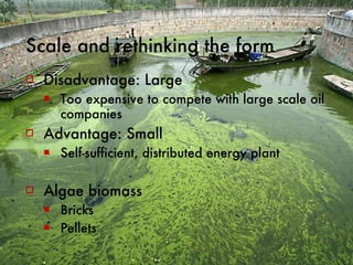 Scale and rethinking the form  Disadvantage: Large Too expensive to compete with large scale oil companies Advantage: Small Self-sufficient, distributed energy plant  Algae biomass  Bricks Pellets 