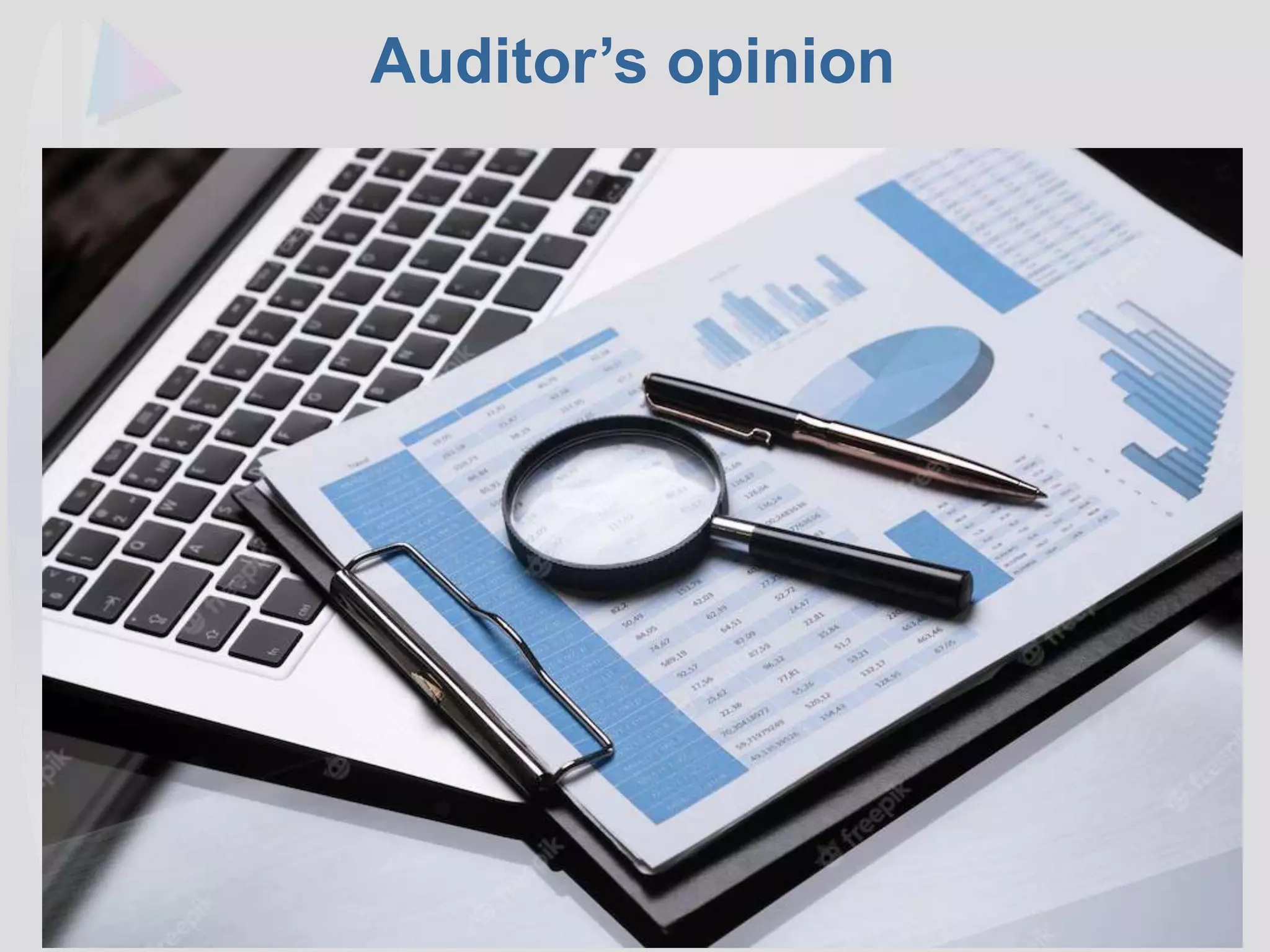 18
Auditor’s opinion
 