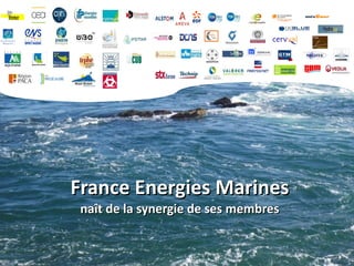 France Energies Marines naît de la synergie de ses membres 