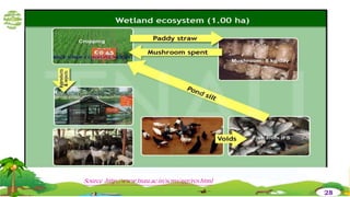 Source :http://www.tnau.ac.in/scms/agr/res.html
28
 