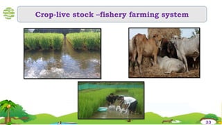 Crop-live stock –fishery farming system
33
 